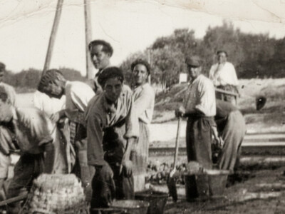 Kamiñoneren historia 4 Fundamento: reglamento estatal aplicado en Gipuzkoa